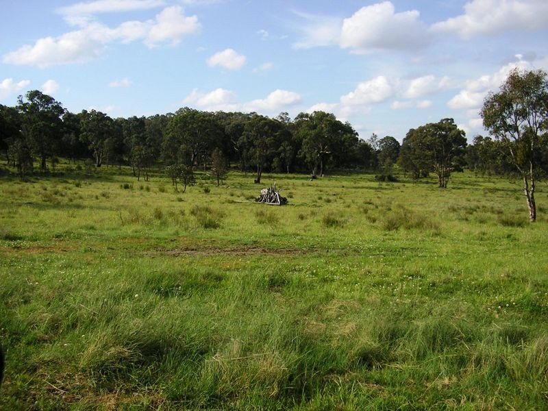 5027 Kings Plains, Wellingrove NSW 2370