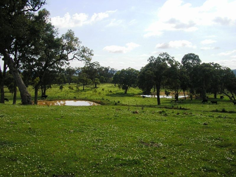 5027 Kings Plains, Wellingrove NSW 2370