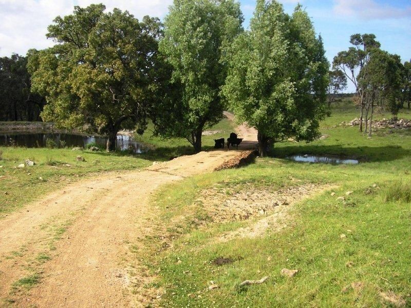 5027 Kings Plains, Wellingrove NSW 2370