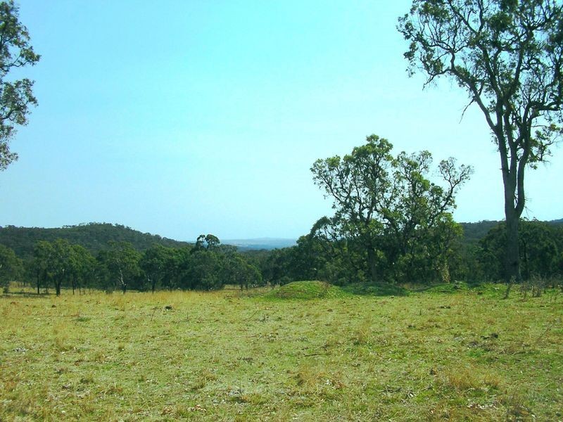 5027 Kings Plains, Wellingrove NSW 2370