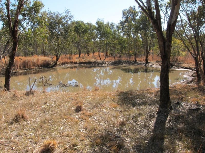 Lot 2 Rose Valley Road, Emmaville NSW 2371