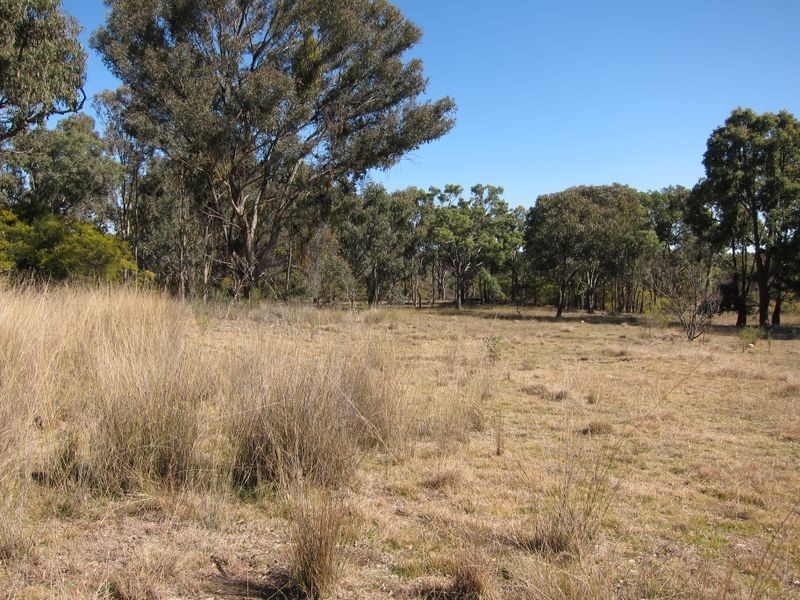 Lot 2 Rose Valley Road, Emmaville NSW 2371