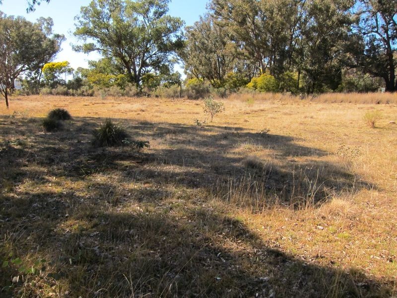 Lot 2 Rose Valley Road, Emmaville NSW 2371