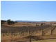 11858 Bruxner Highway, Tenterfield NSW 2372