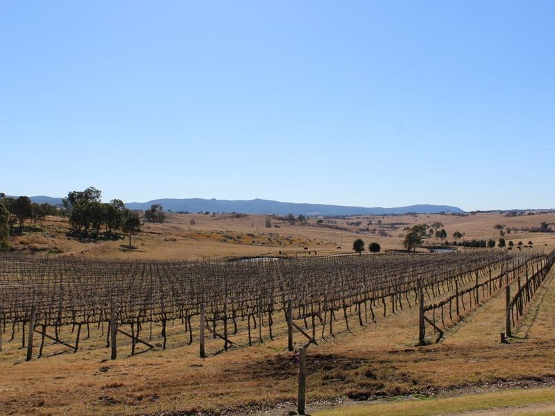 11858 Bruxner Highway, Tenterfield NSW 2372