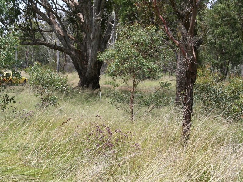 222/753314 Strathbogie Road, Emmaville NSW 2371