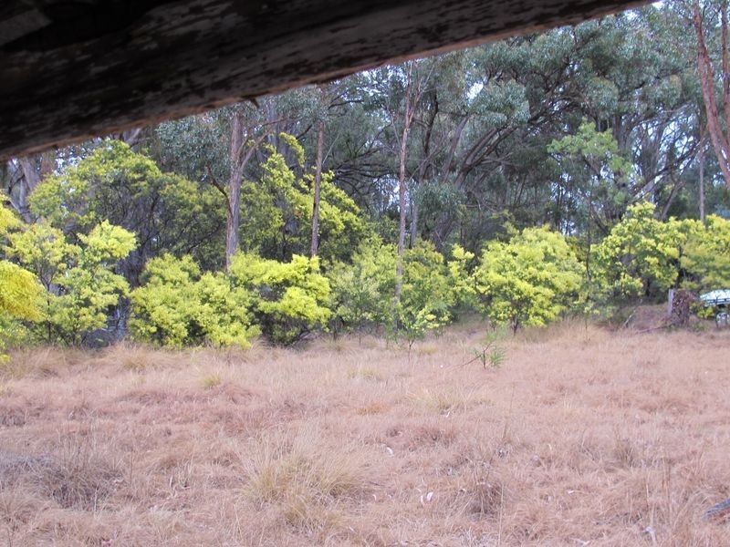 Lots 1 3 & Strathbogie Road, Emmaville NSW 2371