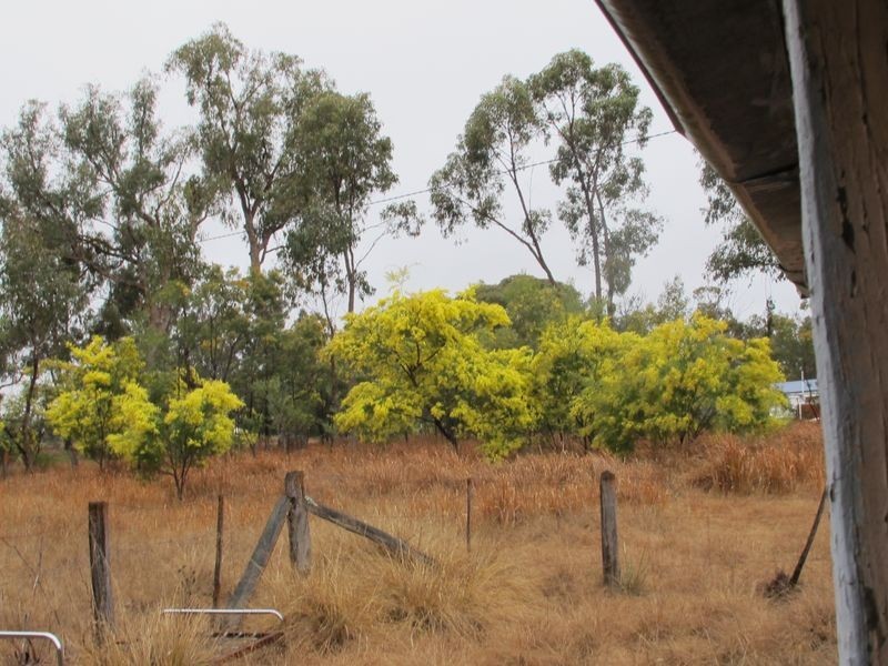 Lots 1 3 & Strathbogie Road, Emmaville NSW 2371