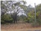 Lots 1 3 & Strathbogie Road, Emmaville NSW 2371