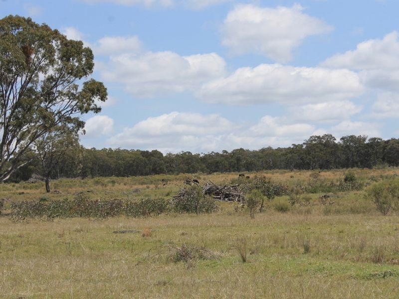 Lot 49 Jindalee Road, Wellingrove NSW 2370