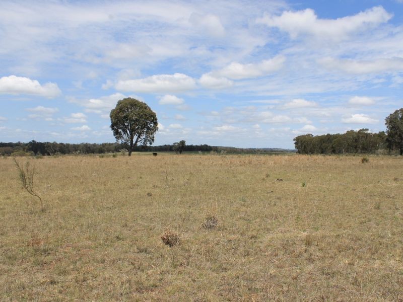 Lot 49 Jindalee Road, Wellingrove NSW 2370