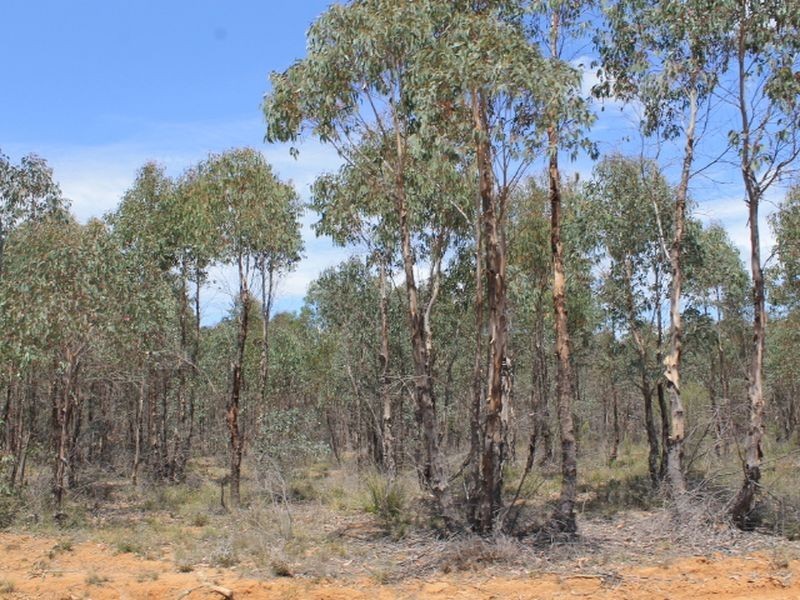 Lot 49 Jindalee Road, Wellingrove NSW 2370