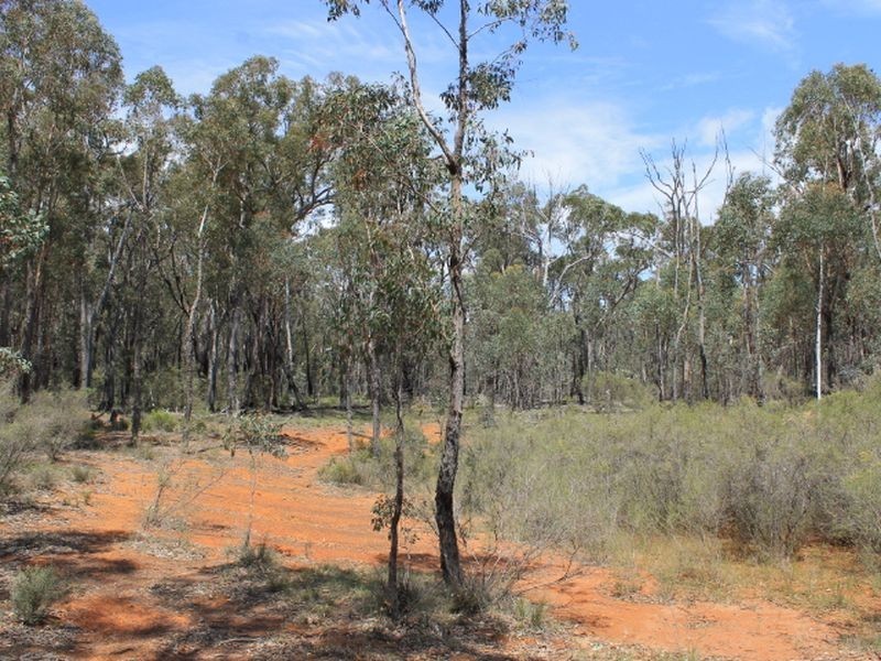 Lot 49 Jindalee Road, Wellingrove NSW 2370