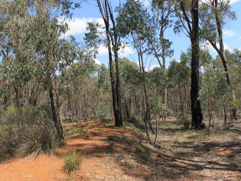 Lot 49 Jindalee Road, Wellingrove NSW 2370