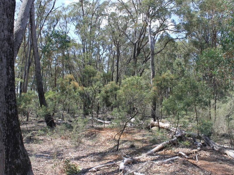 Lot 49 Jindalee Road, Wellingrove NSW 2370