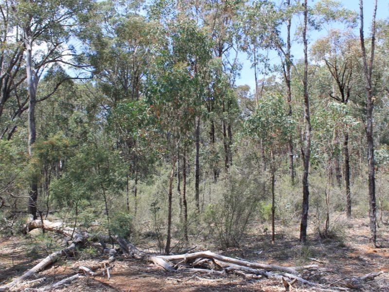 Lot 49 Jindalee Road, Wellingrove NSW 2370