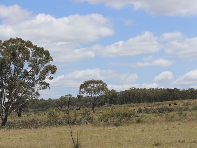 Lot 49 Jindalee Road, Wellingrove NSW 2370