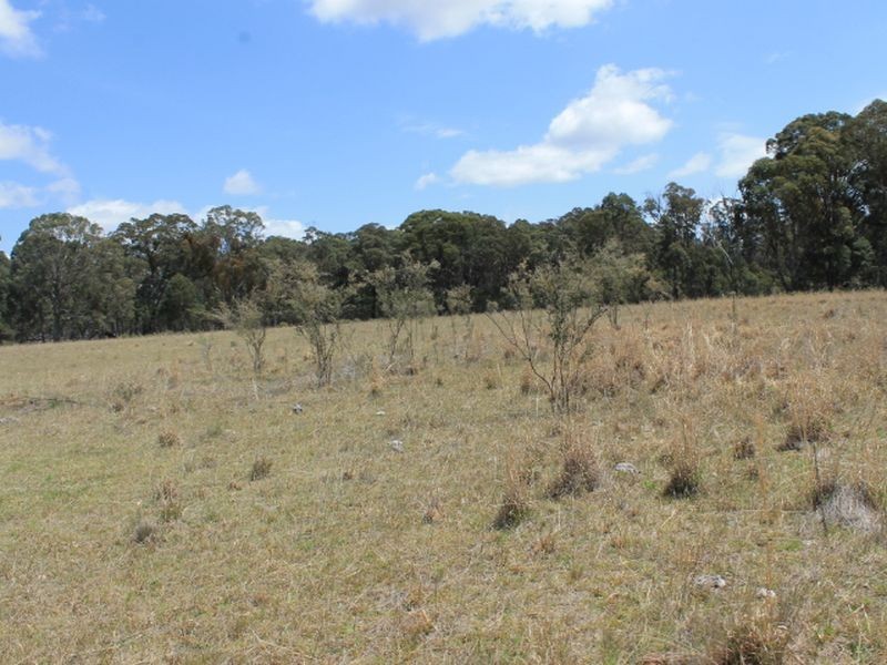 Lot 49 Jindalee Road, Wellingrove NSW 2370