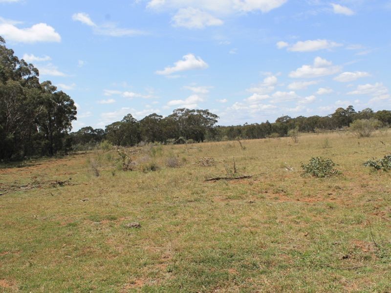 Lot 49 Jindalee Road, Wellingrove NSW 2370