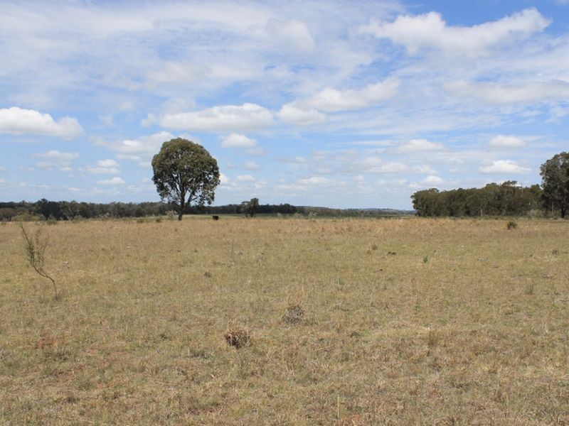 Lot 49 Jindalee Road, Wellingrove NSW 2370