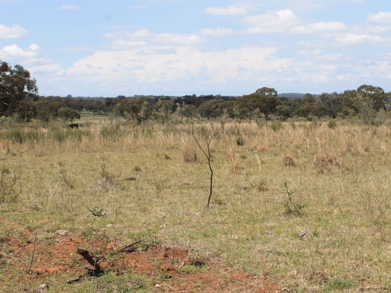 Lot 49 Jindalee Road, Wellingrove NSW 2370