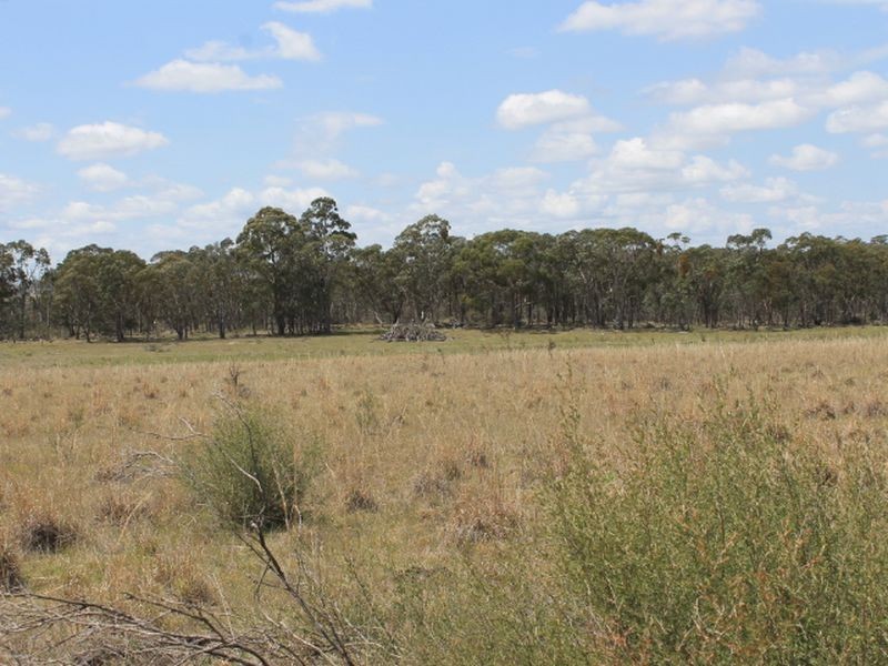 Lot 49 Jindalee Road, Wellingrove NSW 2370