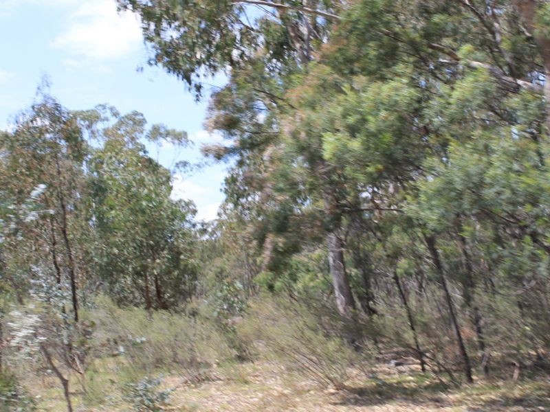 Lot 49 Jindalee Road, Wellingrove NSW 2370