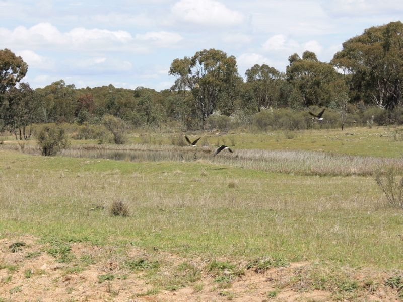 Lot 49 Jindalee Road, Wellingrove NSW 2370