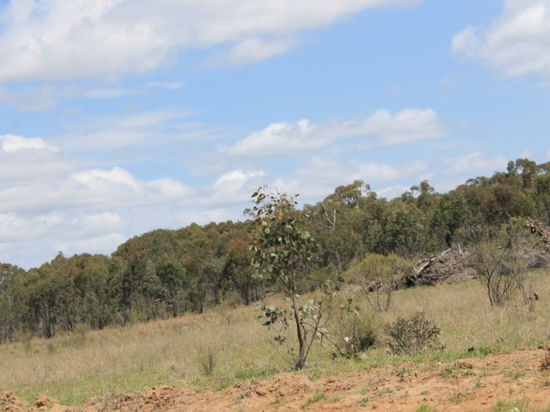 Lot 49 Jindalee Road, Wellingrove NSW 2370