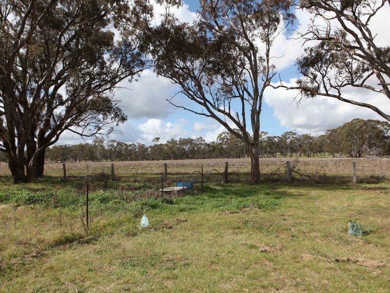 415 Eastern Feeder Rd, Wellingrove NSW 2370