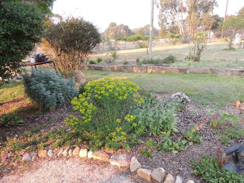 1 Moore Street, Emmaville NSW 2371