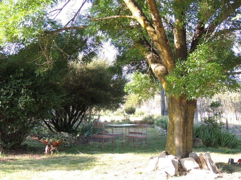 1 Moore Street, Emmaville NSW 2371