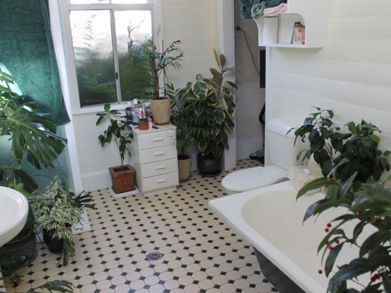 157 Meade Street, Glen Innes NSW 2370