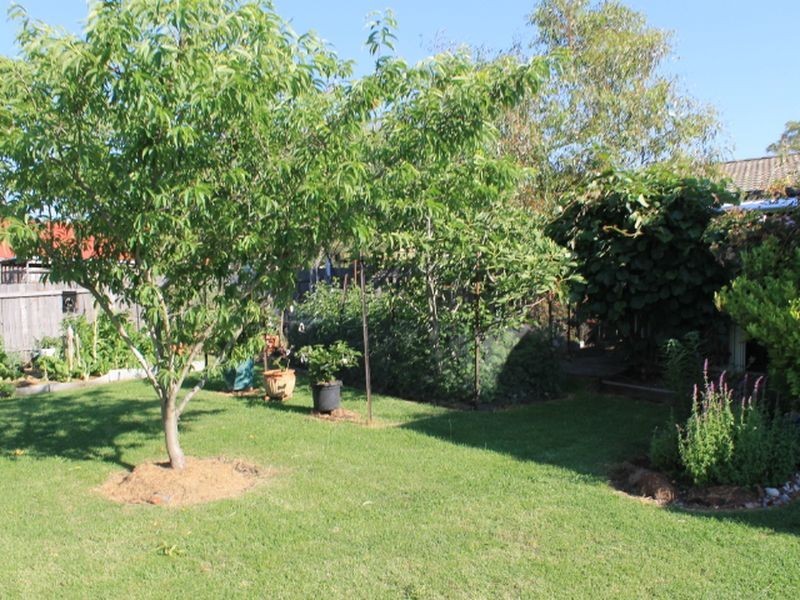 157 Meade Street, Glen Innes NSW 2370