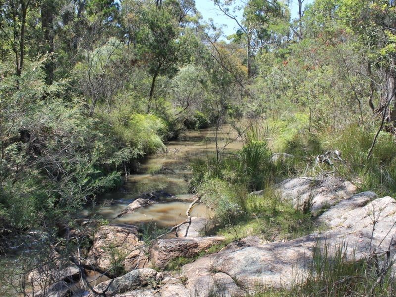 Lot 1 Catarrh Creek Road, Torrington NSW 2371