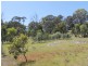 Lot 1 Catarrh Creek Road, Torrington NSW 2371