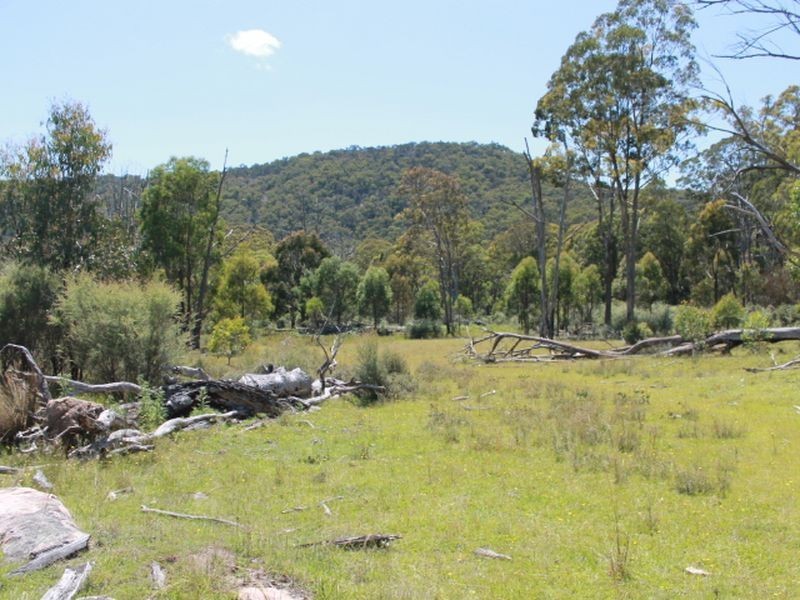 Lot 1 Catarrh Creek Road, Torrington NSW 2371