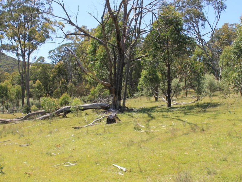 Lot 1 Catarrh Creek Road, Torrington NSW 2371
