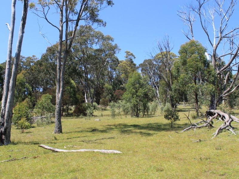 Lot 1 Catarrh Creek Road, Torrington NSW 2371