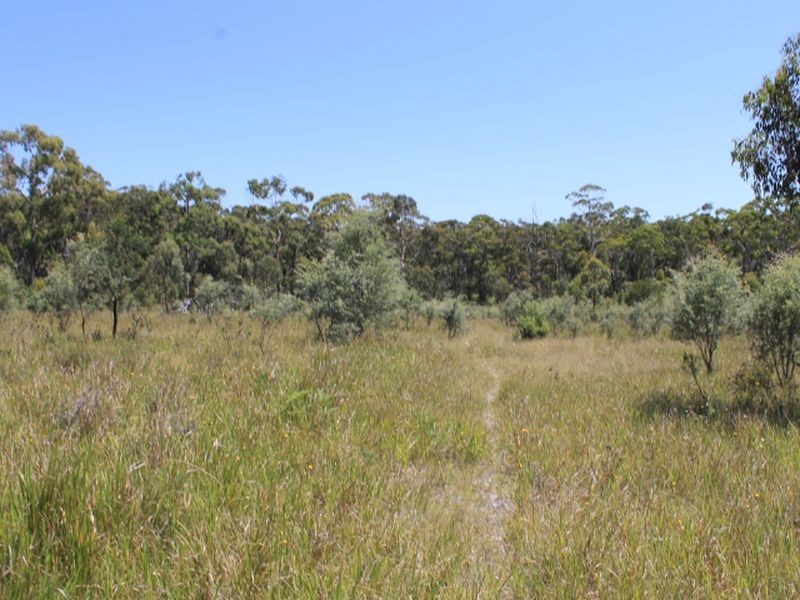 Lot 1 Catarrh Creek Road, Torrington NSW 2371
