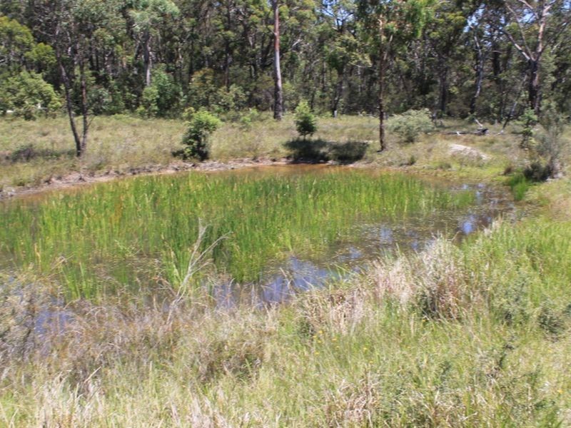Lot 1 Catarrh Creek Road, Torrington NSW 2371