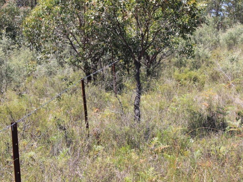 Lot 1 Catarrh Creek Road, Torrington NSW 2371