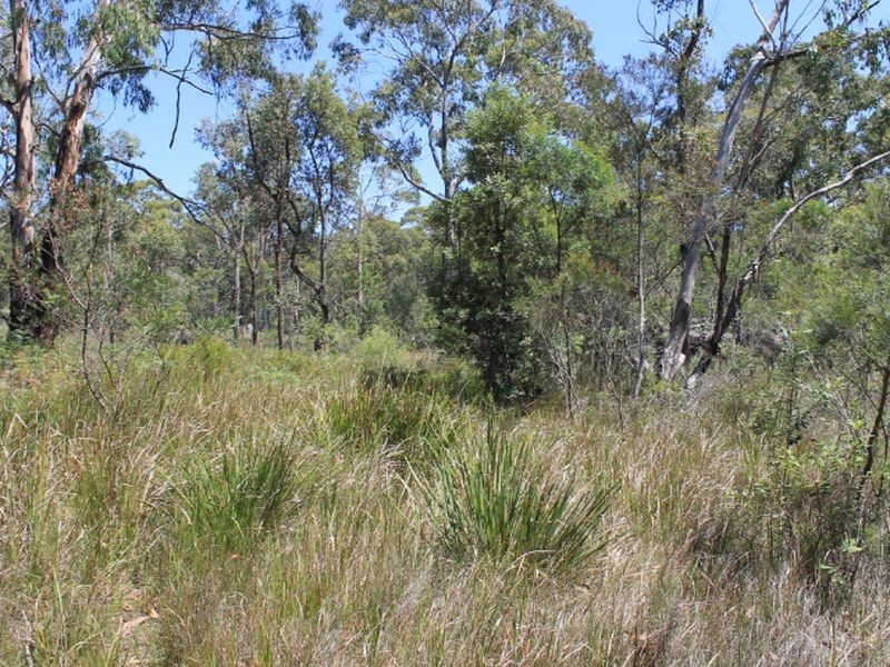 Lot 1 Catarrh Creek Road, Torrington NSW 2371