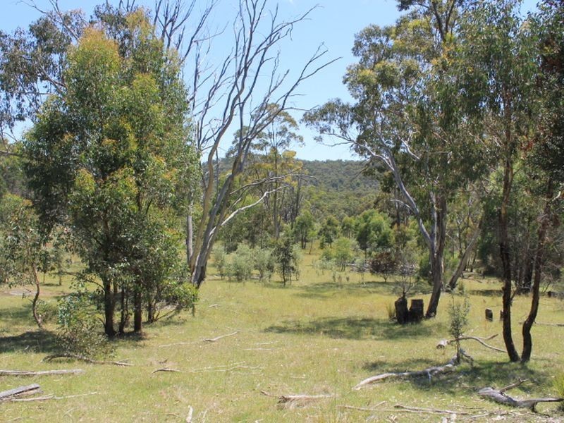 Lot 1 Catarrh Creek Road, Torrington NSW 2371
