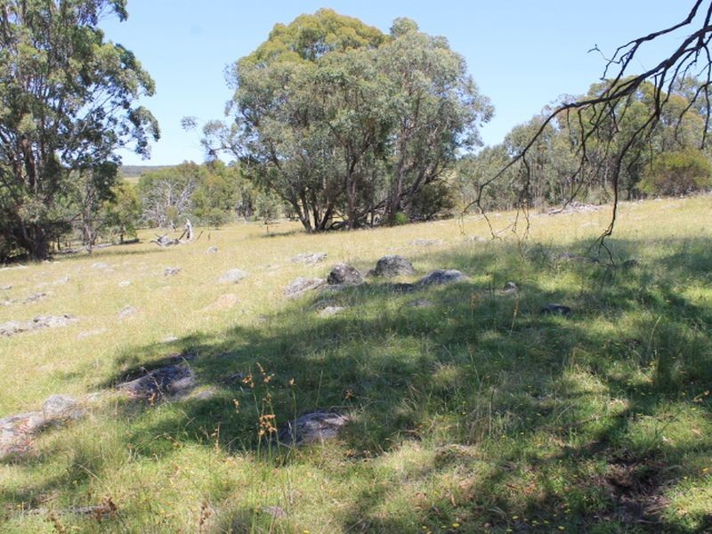 Lot 1 Catarrh Creek Road, Torrington NSW 2371