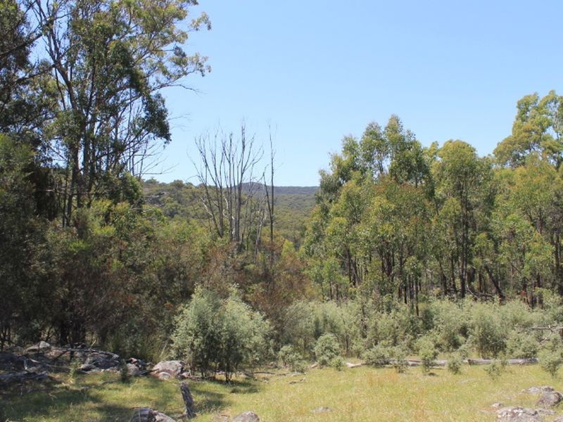 Lot 1 Catarrh Creek Road, Torrington NSW 2371