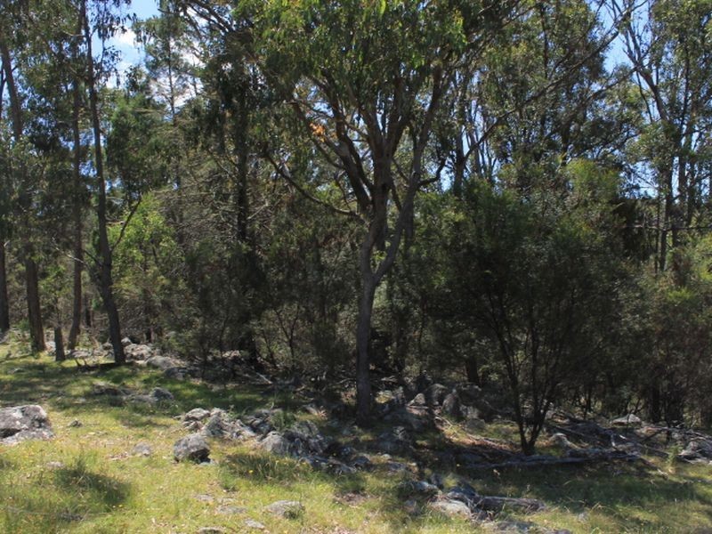 Lot 1 Catarrh Creek Road, Torrington NSW 2371