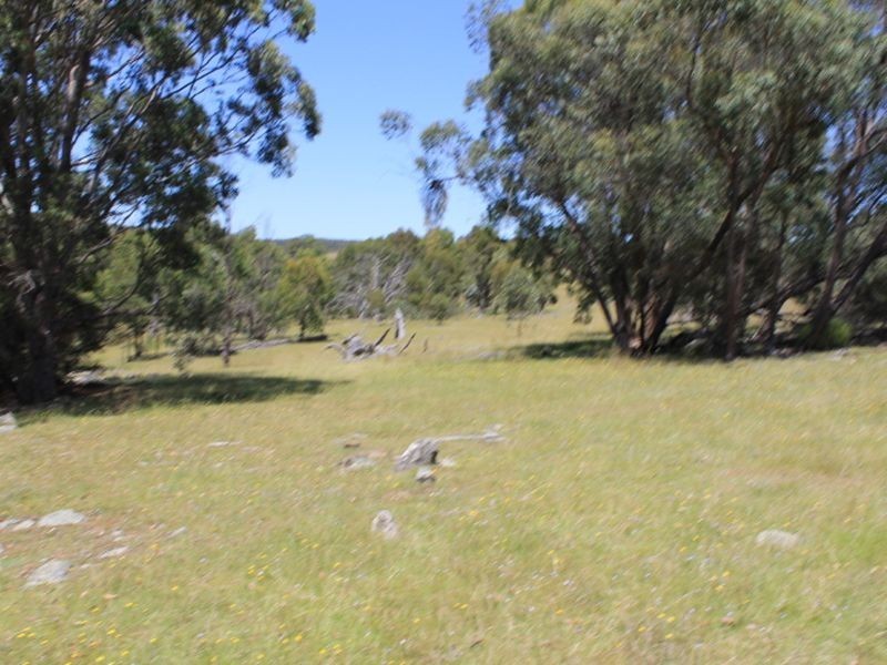 Lot 1 Catarrh Creek Road, Torrington NSW 2371