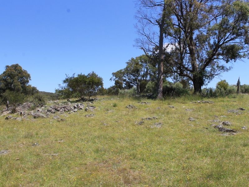 Lot 1 Catarrh Creek Road, Torrington NSW 2371