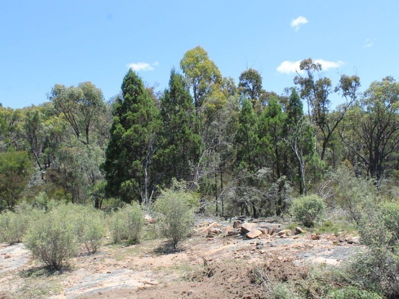 Lot 1 Catarrh Creek Road, Torrington NSW 2371